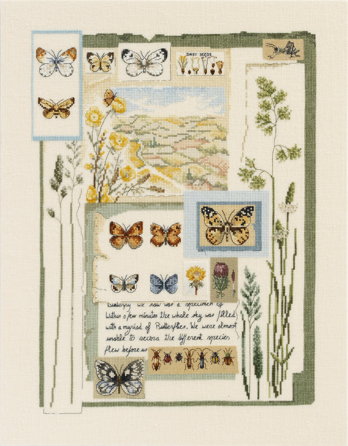 Grille de point de croix Carnet d'un Naturaliste – papillons, fleurs sauvages, graines et insectes brodés esprit herbier, 180×240 pt, environ 32,7×43,6 cm, sur lin ivoire 11 fils/cm, Création Point de Croix
