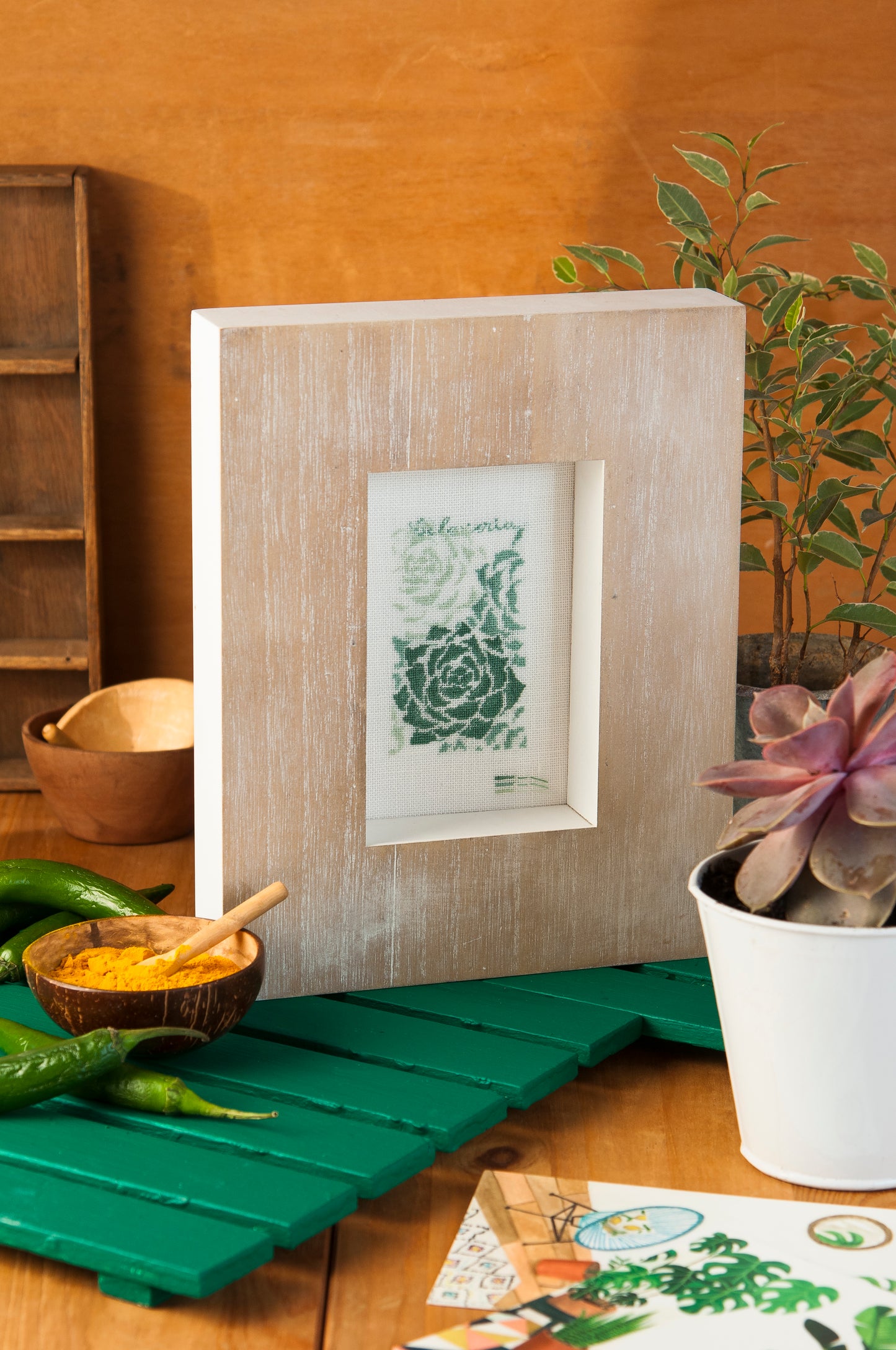 Grille point de croix : echeveria sur lin blanc Marie-Thérèse Saint_Aubin. Motif 60 × 101 pts, env. 10,9 × 18,4 cm. Imprimé symboles & couleurs, 6 pages.