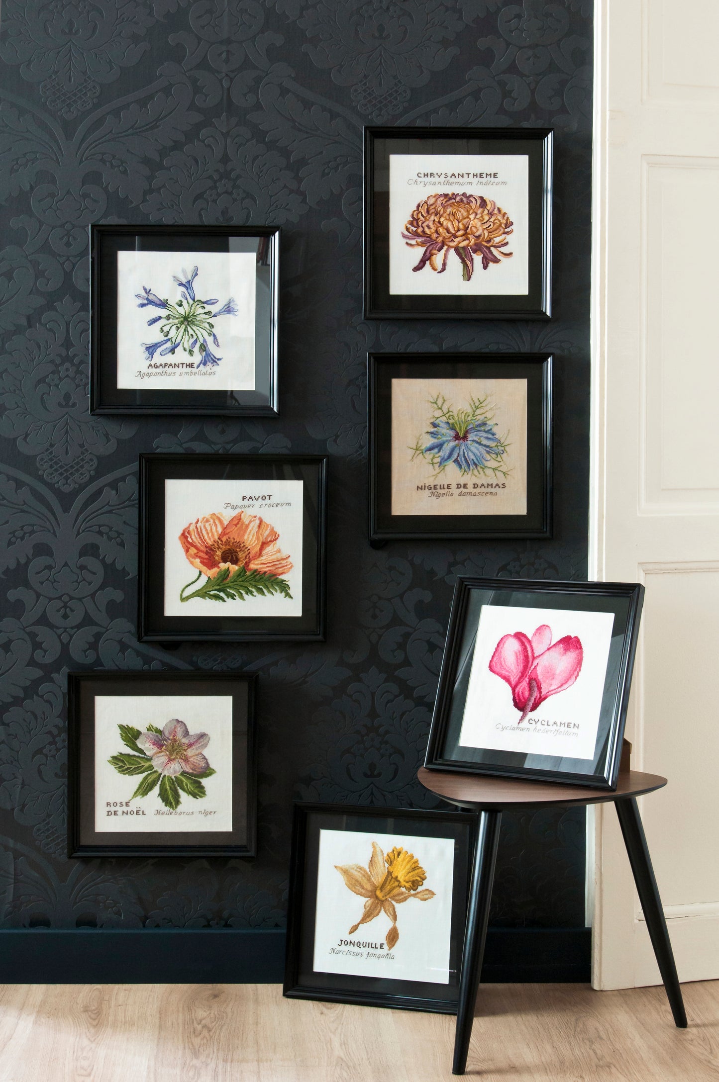Grille Broderie : Mise en scène de plusieurs tableaux de broderie au point de croix représentant des fleurs botaniques encadrées. Parmi les créations figure la grille « La rose de Noël », illustrant un hellébore délicatement brodé. Les cadres noirs sont disposés contre un mur sombre à motif floral, créant une décoration murale élégante et raffinée inspirée de la nature et des fleurs de jardin.