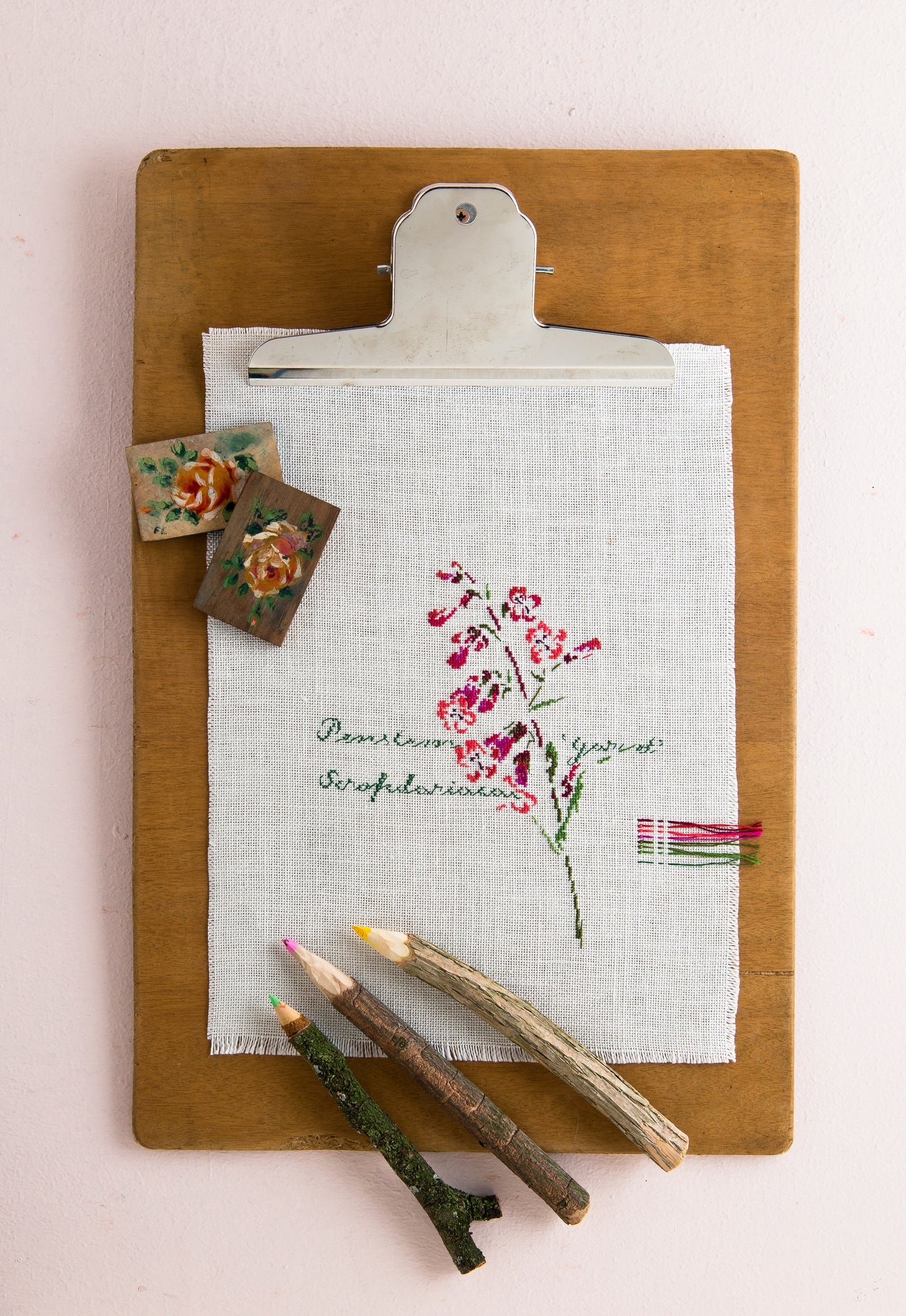 Grille Broderie : Le penstémon – Création Point de Croix. Grille point de croix : penstémon (galane) sur lin 11 fils/cm écru, 24,4 × 26,7 cm. Tableau floral estival style botanique.