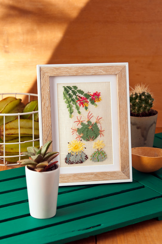Grille point de croix : petit cactus encadré sur lin DMC. Motif 41 × 74 pts, env. 7,5 × 13,5 cm. Imprimé symboles & couleurs, 6 pages.