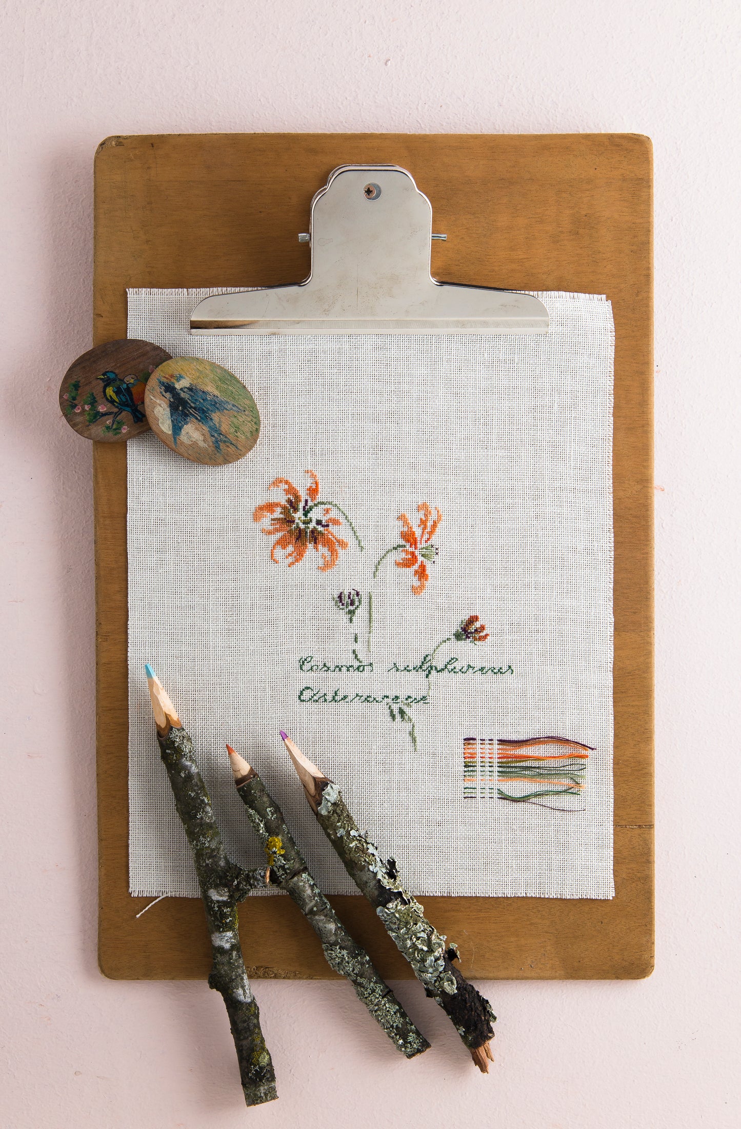 Pattern: Cosmos Sulphureus!, Cross Stitch Design