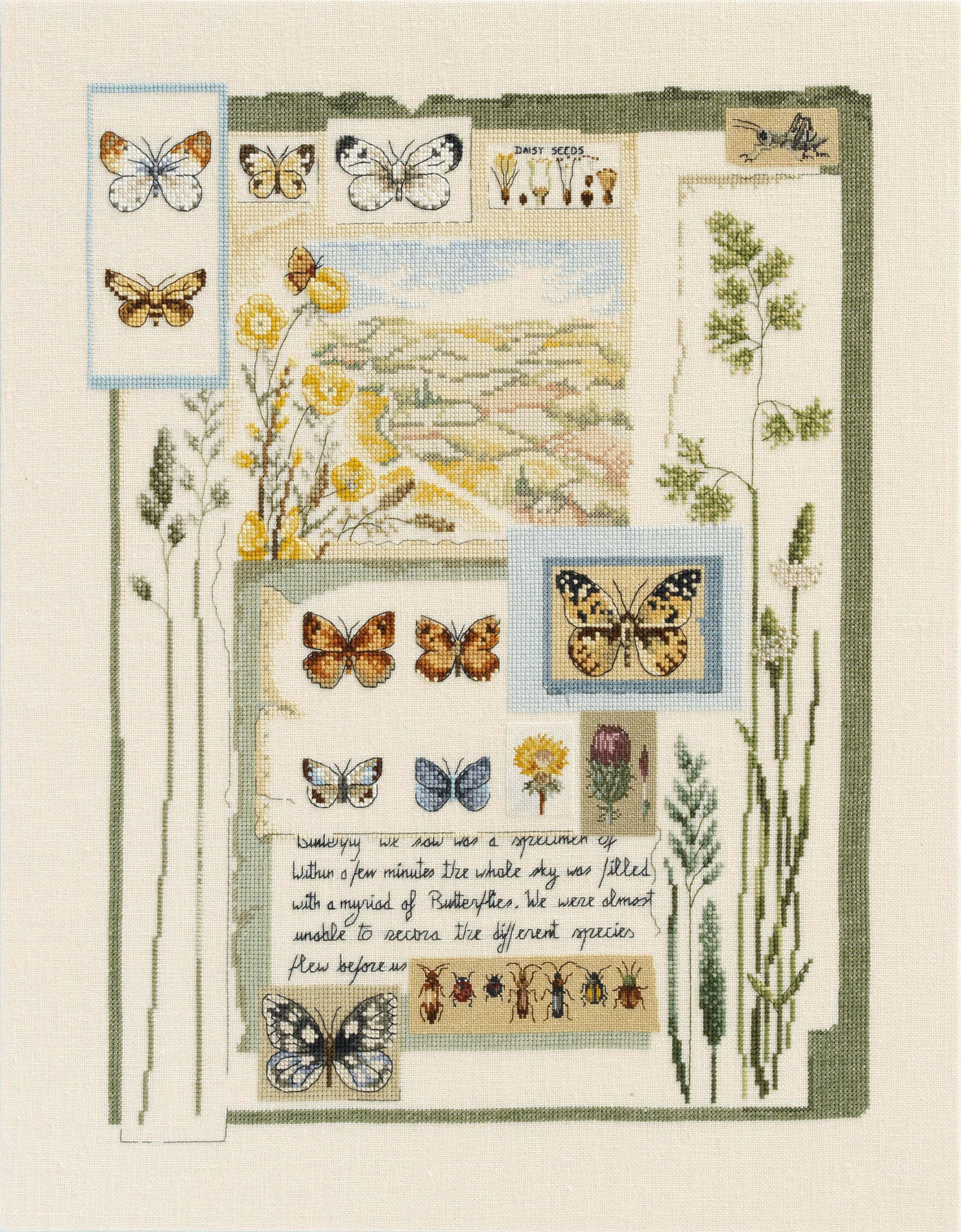 Grille de point de croix Carnet d'un Naturaliste – papillons, fleurs sauvages, graines et insectes brodés esprit herbier, 180×240 pt, environ 32,7×43,6 cm, sur lin ivoire 11 fils/cm, Création Point de Croix