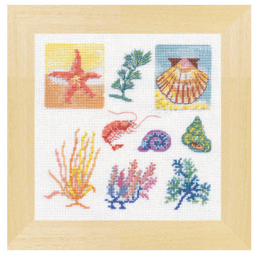 Grille de point de croix Escales en Bord de Mer – cadre Coquillages et coraux brodés, étoiles de mer et crustacés, 85×85 pt, environ 15,5×15,5 cm, sur lin naturel 11 fils/cm, Création Point de Croix

