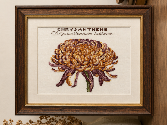 Grille Broderie : Chrysanthème – Création Point de Croix. Grille point de croix : chrysanthème sur lin 11 fils/cm blanc B5200, 19,3 × 19,6 cm. Tableau floral automnal à encadrer.
