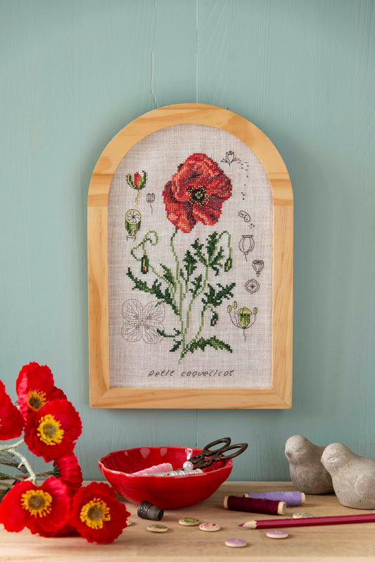 Grille broderie point de croix : ronce et coquelicot, 2 compositions botaniques sur lin. 10 pages, symboles et couleurs DMC. Toile Aïda ou lin.