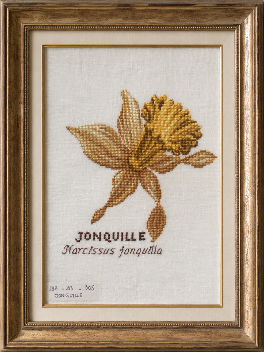 Grille Broderie : La jonquille – Création Point de Croix. Grille point de croix : jonquille sur lin 11 fils/cm blanc cassé, 19,5 × 19,1 cm. Tableau botanique printanier à encadrer.
