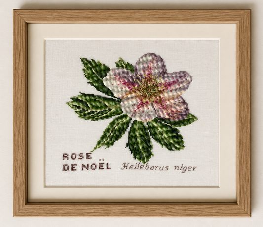 Grille Broderie : La rose de Noël – Création Point de Croix. Grille point de croix : rose de Noël (hellébore) sur lin 11 fils/cm blanc cassé, 18,9 × 18,7 cm. Tableau floral hivernal.