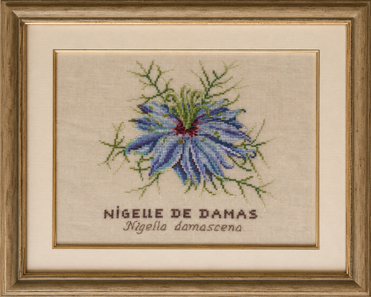 Grille Broderie : Nigelle de Damas – Création Point de Croix. Grille point de croix : nigelle de Damas sur lin 11 fils/cm blanc cassé, 19,3 × 19,5 cm. Tableau botanique champêtre.