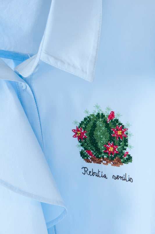 Grille point de croix : Rebutia senilis sur chemise, toile soluble. Motif 187 × 128 pts, env. 34 × 23,3 cm. Imprimé symboles & couleurs, 6 pages.1